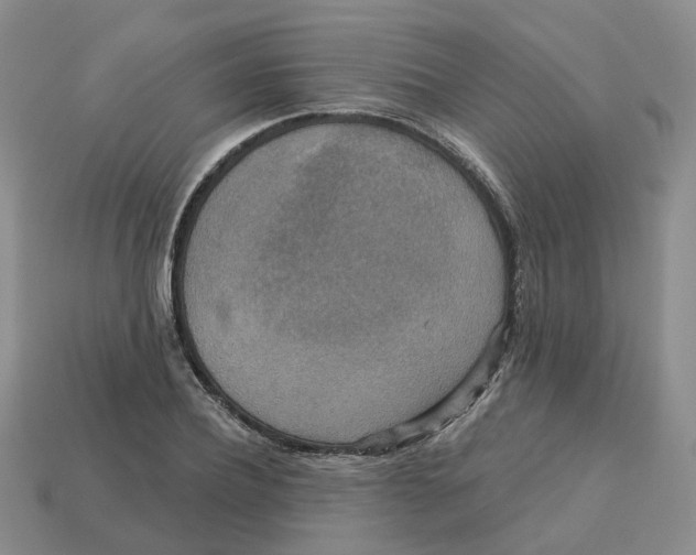 X0000113180932200910021540