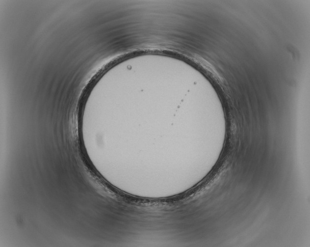 X0000113180934200910021540