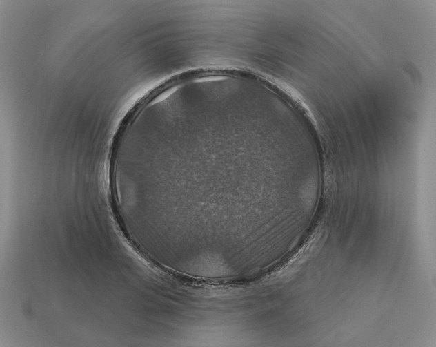 X0000113180935200910021540
