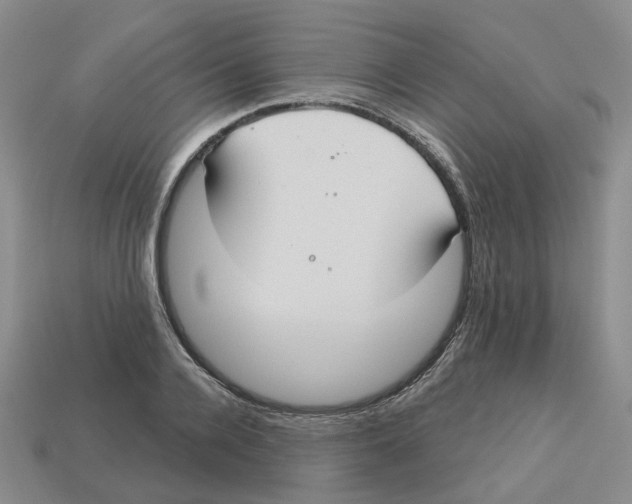 X0000113180936200910021540