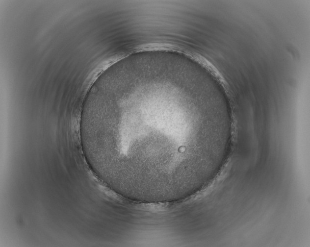 X0000113180937200910021540