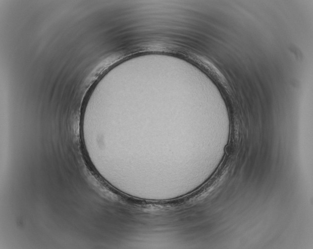 X0000113180938200910021540