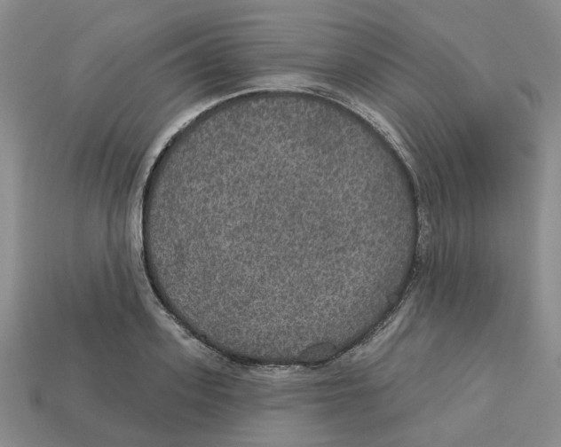 X0000113180939200910021540