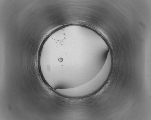 X0000113180940200910021540