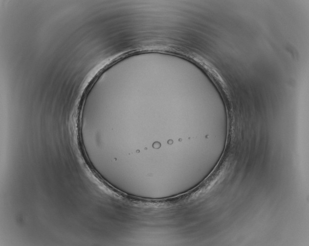X0000113180941200910021540