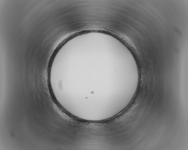 X0000113180942200910021540