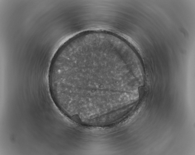 X0000113180943200910021540