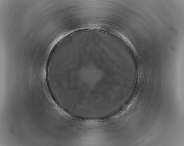 X0000113180944200910021540