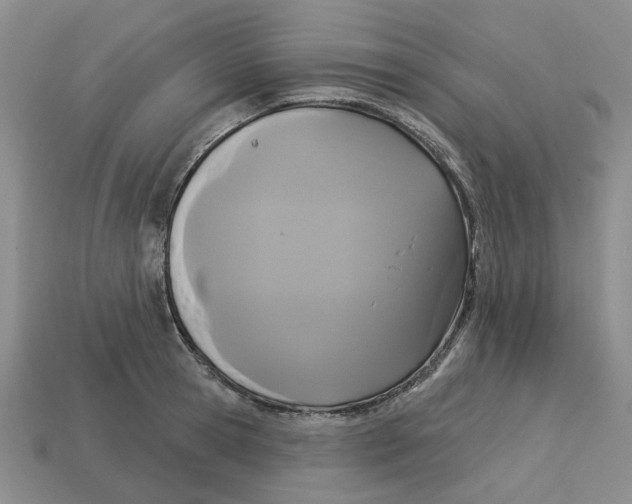 X0000113180945200910021540