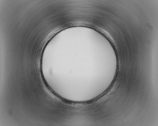 X0000113180946200910021540