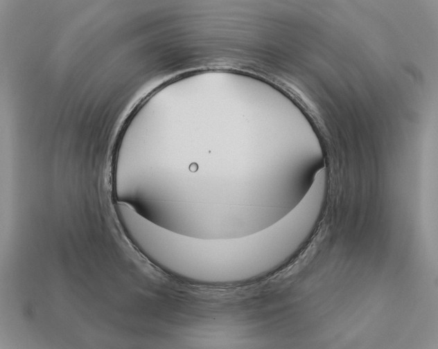 X0000113180948200910021540