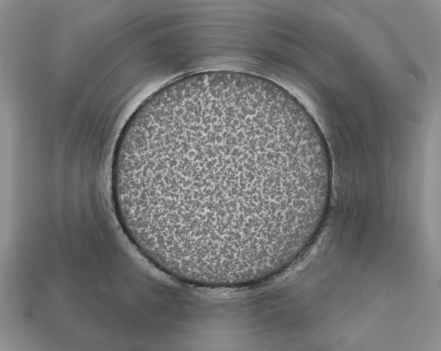 X0000113180949200910021540