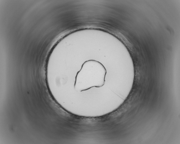 X0000113180950200910021540