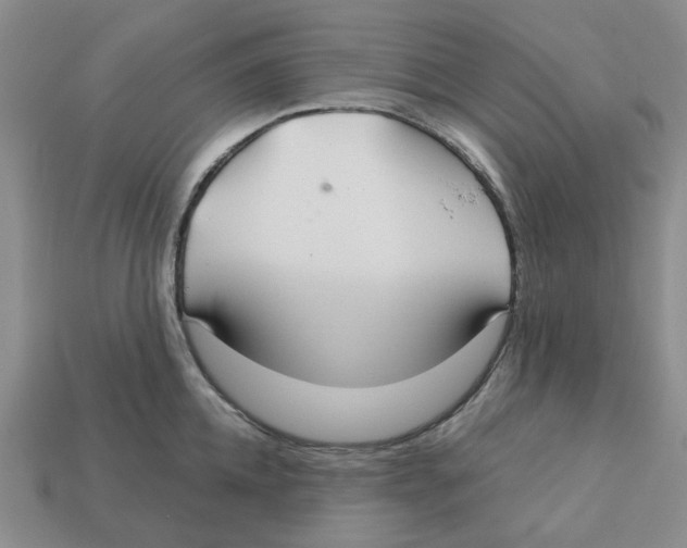 X0000113180952200910021540