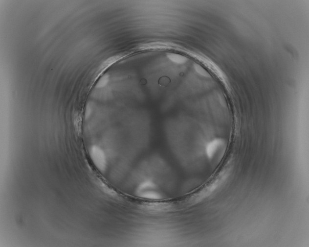 X0000113180953200910021540