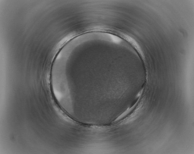 X0000113180954200910021540