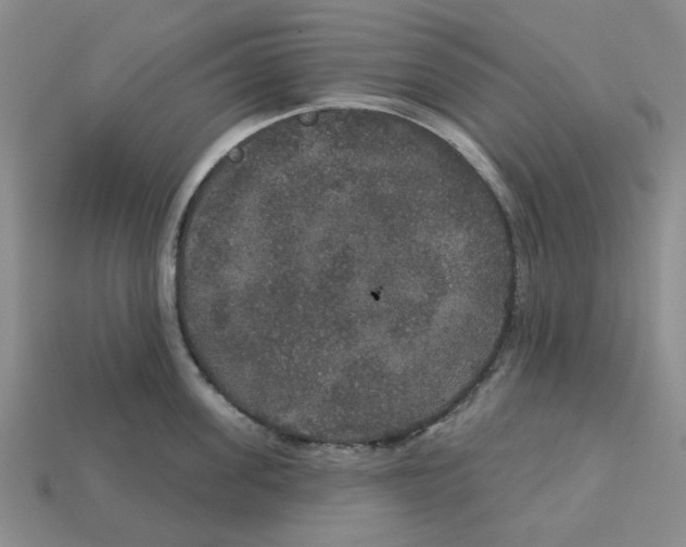 X0000113180955200910021540