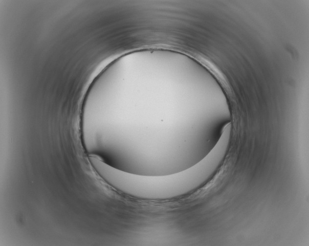 X0000113180956200910021540
