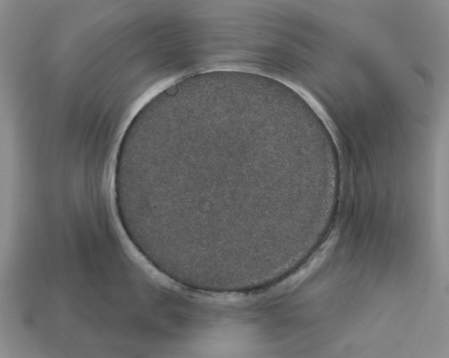 X0000113180957200910021540