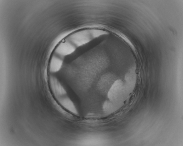 X0000113180959200910021540