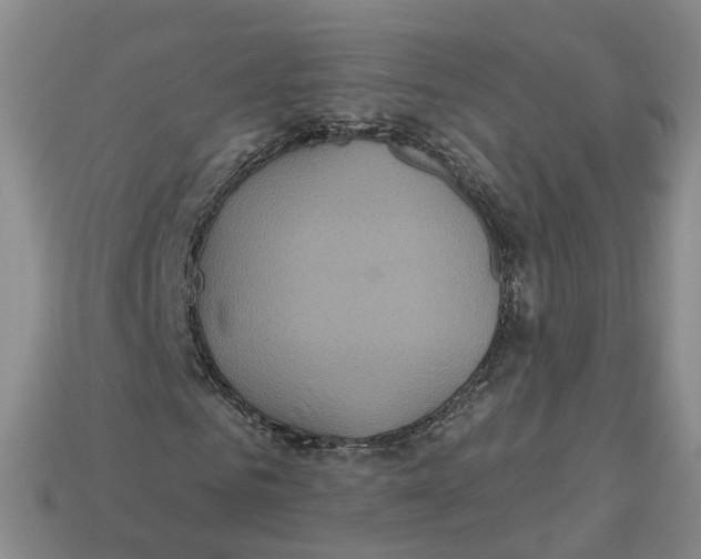 X0000113180961200910021540
