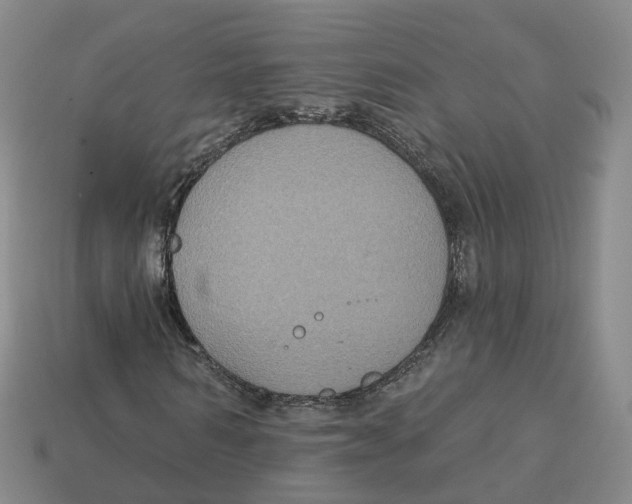 X0000113180962200910021540