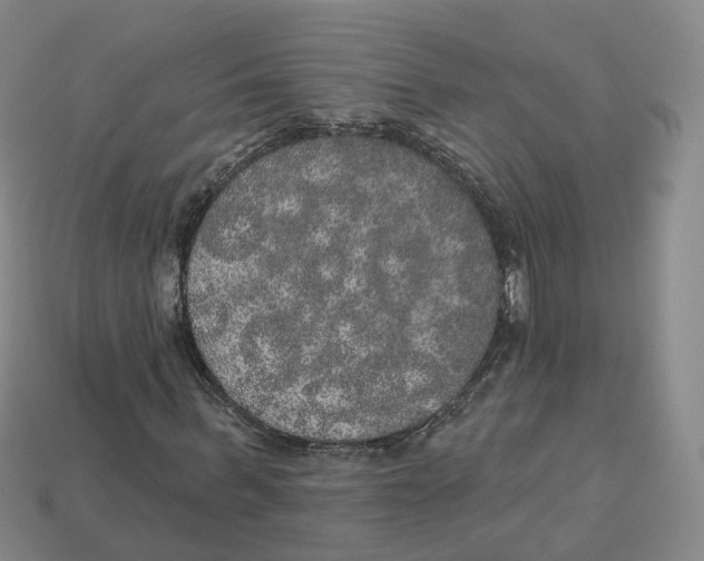 X0000113180963200910021540