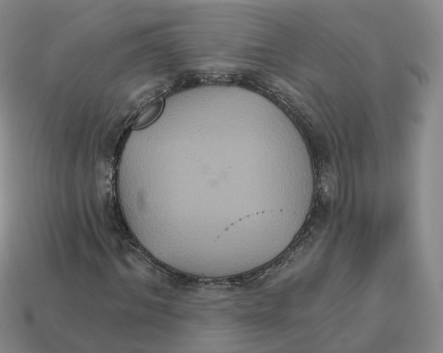 X0000113180964200910021540