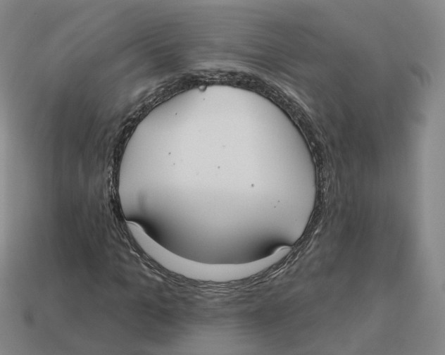 X0000113180965200910021540