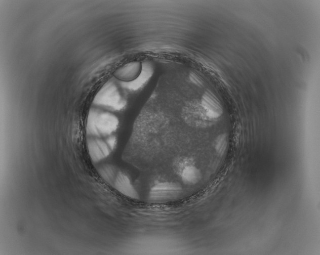 X0000113180966200910021540