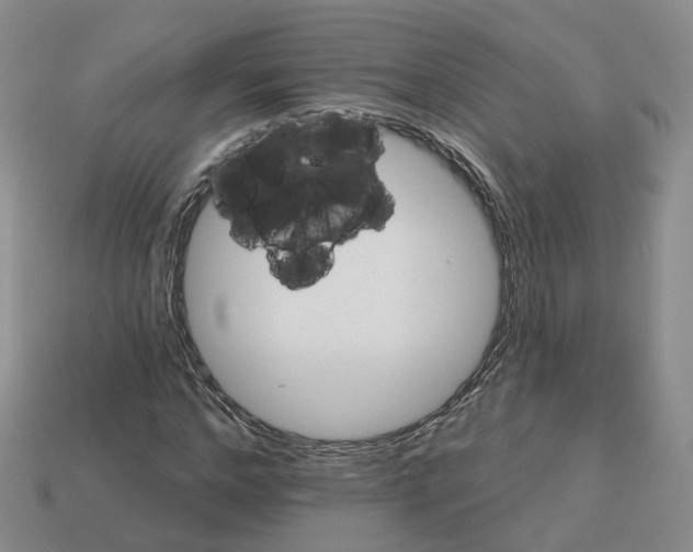 X0000113180968200910021540