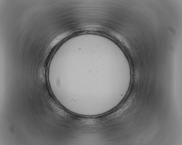 X0000113180970200910021540