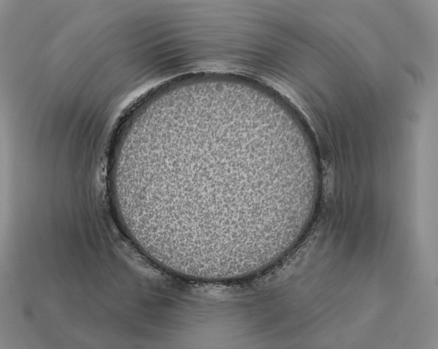X0000113180971200910021540