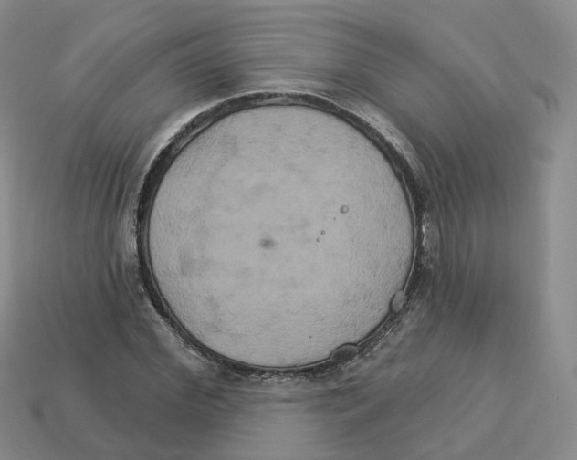 X0000113180972200910021540