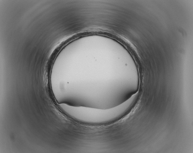 X0000113180973200910021539