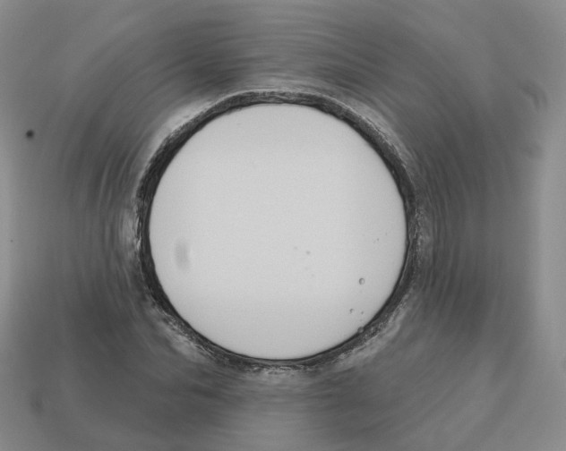 X0000113180974200910021539
