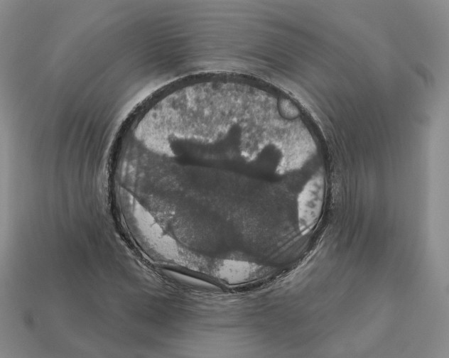 X0000113180975200910021539