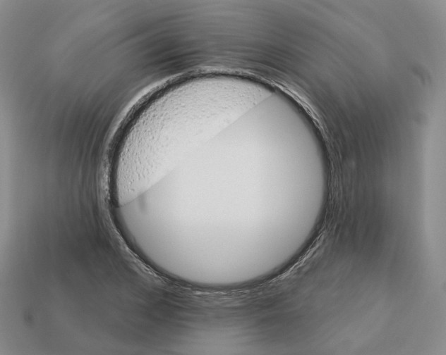 X0000113180976200910021539