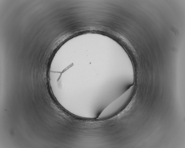 X0000113180977200910021539