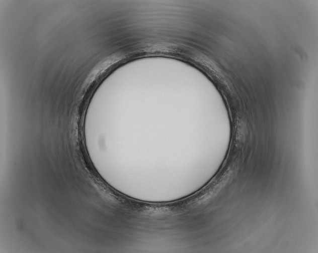 X0000113180978200910021539