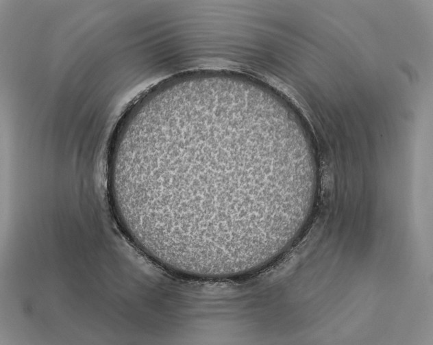 X0000113180979200910021539