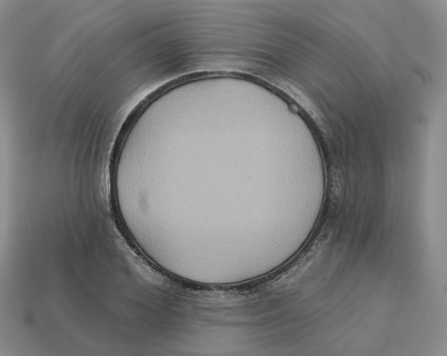 X0000113180980200910021539