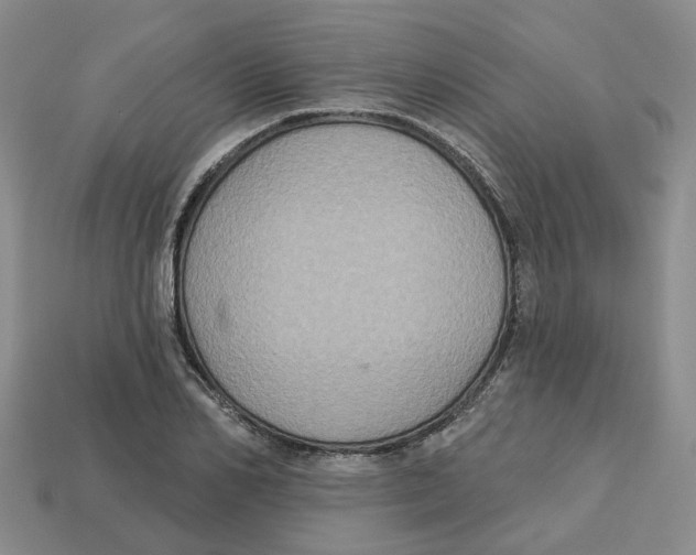 X0000113180982200910021539