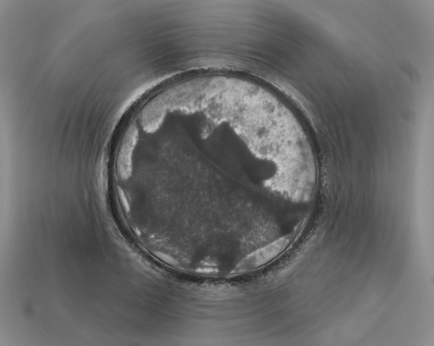 X0000113180983200910021539