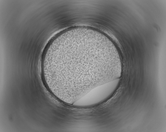 X0000113180984200910021539