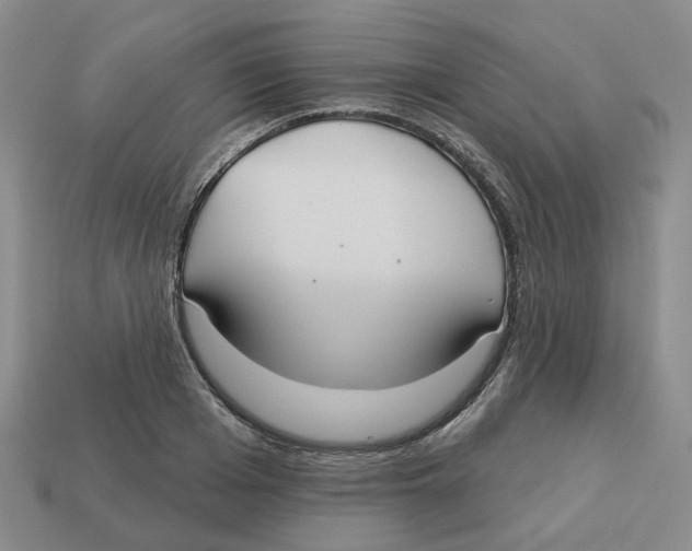 X0000113180985200910021539