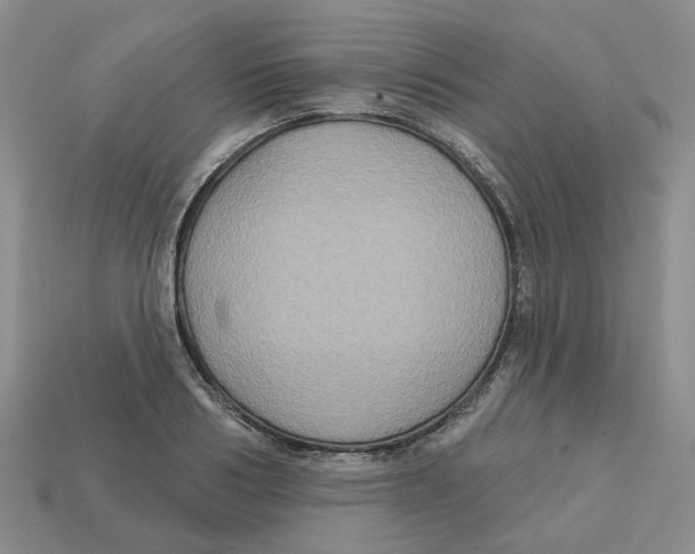 X0000113180986200910021539