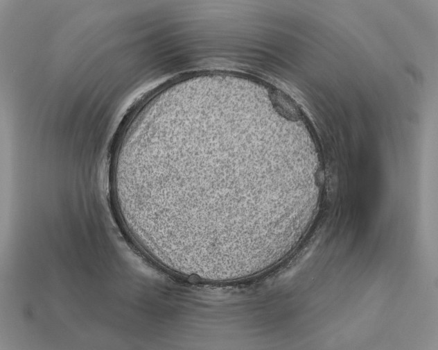 X0000113180987200910021539