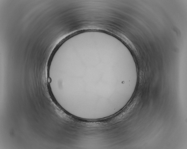 X0000113180988200910021539