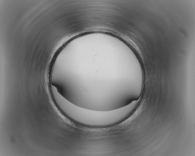 X0000113180989200910021539